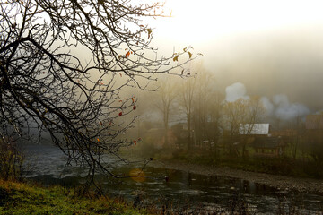 Foggy autumn morning in the village by the river. Drops of fog on the branches of a tree. autumn landscape.