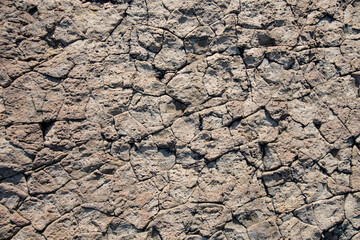 柱状節理の岩の平らな表面　島根県出雲市大社町　The flat surface of columnar joint rock