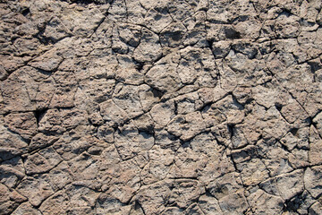 柱状節理の岩の平らな表面　島根県出雲市大社町　The flat surface of columnar joint rock