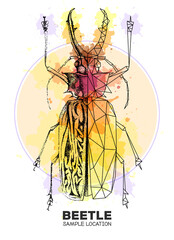 Realistic hand drawing and polygonal Sabertooth Longhorn beetle on watercolor background. Artistic Bug. Entomological vector illustration