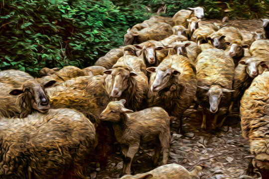 Flock of sheep passing through a dirt trail in forest at the Way of St. James. A famous pilgrimage route leading to Santiago de Compostela in northern Spain. Oil paint filter.