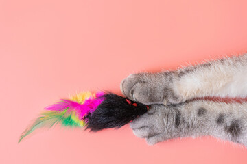 Gray cat paws and a toy mouse. Pink background, copy space, top view. Concept of games and entertainment for pets.