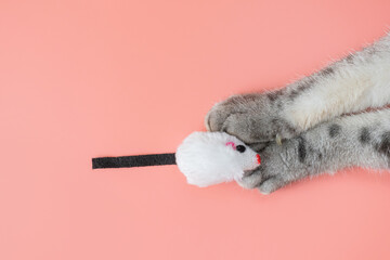 Gray cat paws and a toy mouse. Pink background, copy space, top view. Concept of games and entertainment for pets.