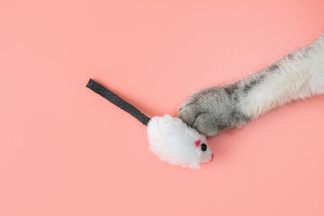 Gray cat paws and a toy mouse. Pink background, copy space, top view. Concept of games and entertainment for pets.