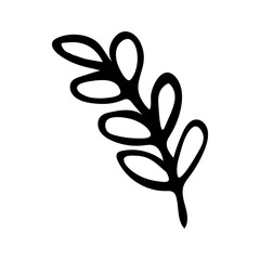 Hand drawn doodle style twig in vector. Isolated illustration on white background. For interior design, wallpaper, packaging, poster