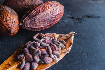 Dried cocoa beans and dried cocoa