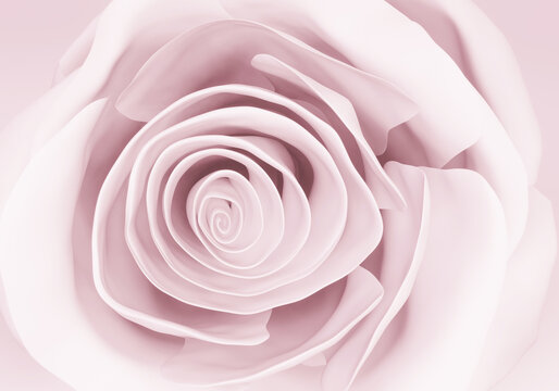 elegant pastel rose close up, flower background, 3d render