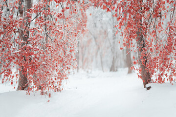 Beautiful winter forest after heavy first snow