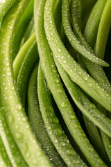 Green leeks close-up, water drops, beautiful texture background for vegetarian menu or recipes about healthy food. Vertical photo