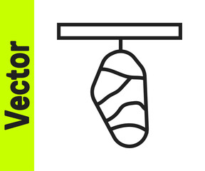 Black line Butterfly cocoon icon isolated on white background. Pupa of the butterfly. Vector.