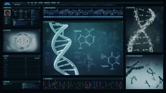 
Futuristic technological interface analyzing human DNA. Medical profile of patient showing, genome sequence, DNA visualization, cell mitosis, chromosome animation. Healthcare information.
