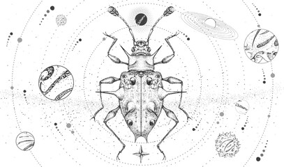 Modern magic witchcraft card with solar system and Endomychidae beetle. Hand drawing occult vector illustration