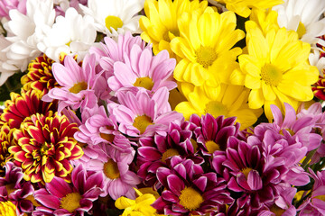 bouquet of chrysanthemums