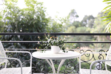 Asiatic Jasmine plant on white metal table
