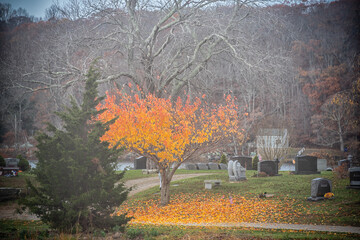 Cemetery in the Autumn