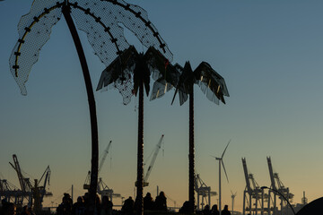 Decorative Palm Trees in Hamburg Public Park