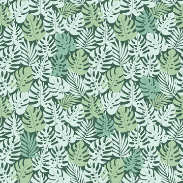Tropical leaf monstera vector pattern. Floral design seamless pattern in green tones. Hand drawn.