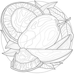 Mango and coconut.Fruit.Coloring book antistress for children and adults. Zen-tangle style.Black and white drawing