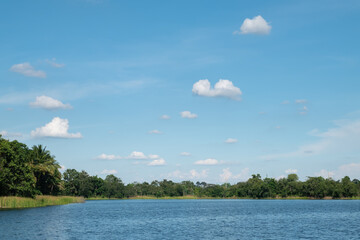 Scenic view of rural pond surrounded by the trees against clear blue sky and clouds background.