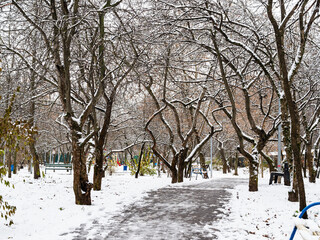footpath in city park covered by the first snow in on cold autumn day