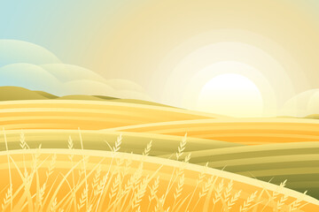 Rural morning landscape with hills and dales agricultural fields with grain flat vector illustration © Alfmaler