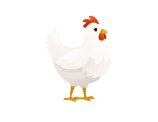 Cute white chiken farm agriculture hen rooster cartoon animal design flat vector illustration