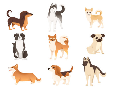 Set of cute domestic dog characters cartoon animal design flat vector illustration