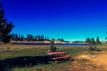 bench in the park