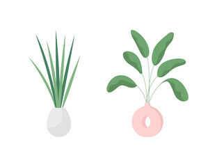 Indoor plant flat color vector object set. Horticulture, house jungle. Modern potter flower for home interior isolated cartoon illustration for web graphic design and animation collection
