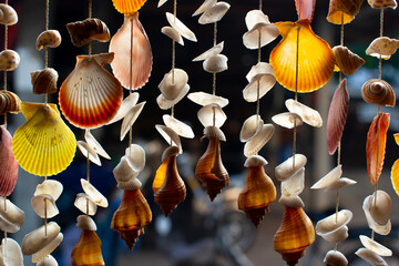Curtains made of various shells For decorating houses