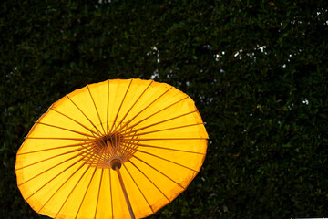 Ancient umbrellas in northern Thailand