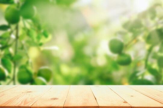 Empty wood table with free space over green lemons on tree in garden, green lemons field background. For product display montage