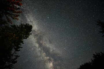 Milky way in the night sky. Starry sky and dark silhouettes of trees. Astrophotography.