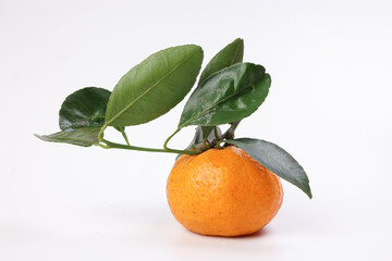 mandarin orange green leaf sail on white background