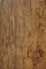 Beautiful texture of natural dark oak with cracks, spots and a vertical pattern of fibers.