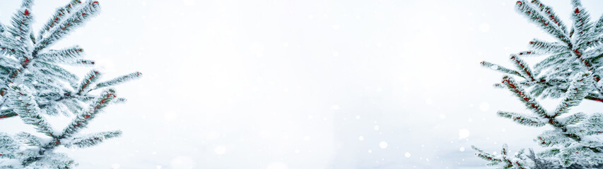 Winter / snow Christmas background banner panorama - Snowy frozen fir branches with blue gray snowy snowfall sky