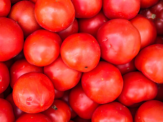 Fresh organic tomatoes on display at the market. Freshly picked vegetables.