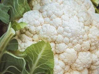 Close up with a fresh organic cauliflower vegetable.