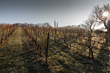 autumn in southern styria, an old wine growing country in austria named südsteirische weinstrasse