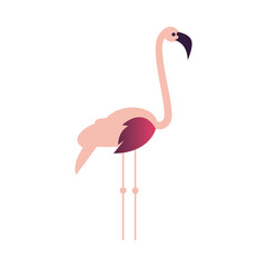 flamingo bird abstract icon vector design