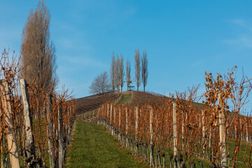 Fototapeta na wymiar autumn in southern styria, an old wine growing country in austria named südsteirische weinstrasse. vineyard with windmill called klapotetz