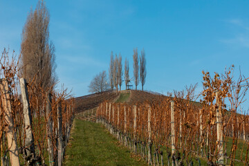 Obraz premium autumn in southern styria, an old wine growing country in austria named südsteirische weinstrasse. vineyard with windmill called klapotetz