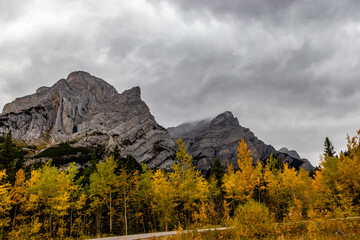 Fall colours at the base of Mount Galatea. Spray Valley Provincal Park, Alberta, Canada