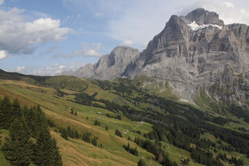 Fototapeta na wymiar Grindelwald landscape in Switzerland. Really beautiful valley village near the Mt.Eiger.