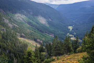 Fototapeta na wymiar Obri Dul Valley in Czech Republic, view from footpath to the peak of Sniezka Mountain