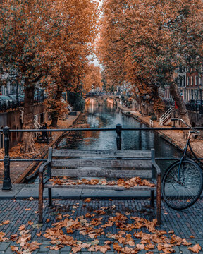 Autumn Vibes In Utrecht - Holland