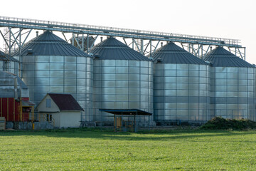 Naklejka premium silver silos on agro manufacturing plant for processing drying cleaning and storage of agricultural products, flour, cereals and grain. Large iron barrels of grain. Granary elevator