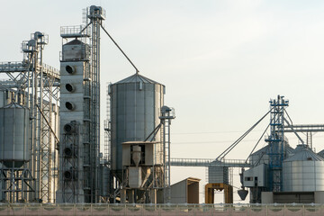Obraz premium silver silos on agro manufacturing plant for processing drying cleaning and storage of agricultural products, flour, cereals and grain. Large iron barrels of grain. Granary elevator