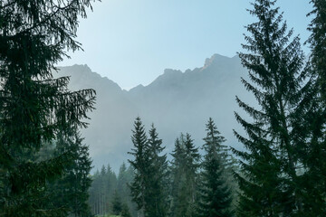 A close up view on steep, high, and stony mountain peaks in Grimming region, Austria. There are few trees disturbing the clear view on the mountains. early morning haze. High Alpine mountaineering.