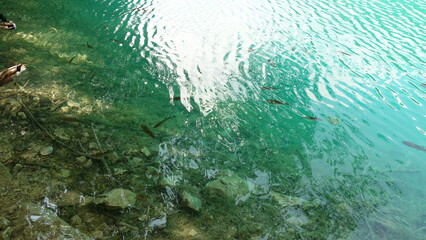 Fototapeta na wymiar Plitvice Lakes National Park in Croatia. There is world natural heritage site.